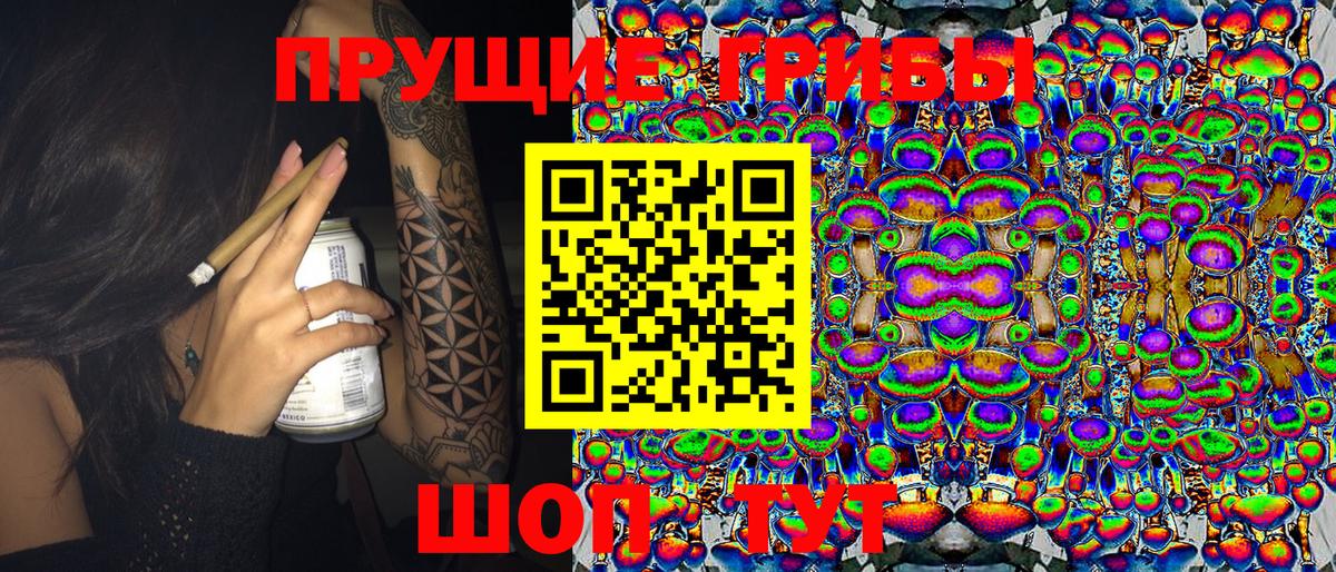 Псилоцибиновые грибы прущие грибы Ипатово