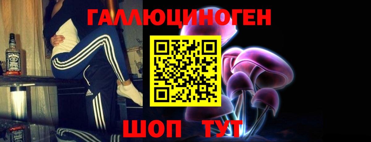 Ипатово  Псилоцибиновые грибы прущие грибы  Галлюциногенные грибы Cubensis  Вход с VPN 